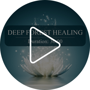 MEDITATIVE MUSIC LIBRARY 03