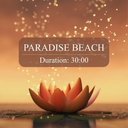 Healing Music 5 paradise beach